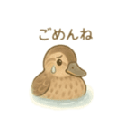 カルガモ親子 日本語（個別スタンプ：15）