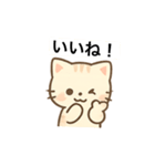 チワワさん スタンプ（個別スタンプ：8）