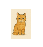 おすまし猫です(^-^)（個別スタンプ：1）