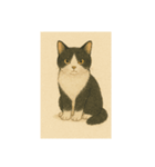 おすまし猫です(^-^)（個別スタンプ：6）