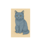 おすまし猫です(^-^)（個別スタンプ：10）