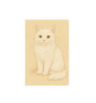 おすまし猫です(^-^)（個別スタンプ：11）