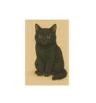 おすまし猫です(^-^)（個別スタンプ：12）