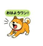 ふきだし日本犬スタンプ（個別スタンプ：1）