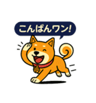 ふきだし日本犬スタンプ（個別スタンプ：2）