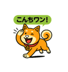 ふきだし日本犬スタンプ（個別スタンプ：3）