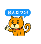 ふきだし日本犬スタンプ（個別スタンプ：7）