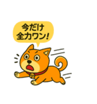 ふきだし日本犬スタンプ（個別スタンプ：14）