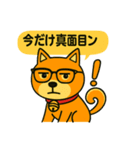 ふきだし日本犬スタンプ（個別スタンプ：17）