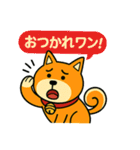 ふきだし日本犬スタンプ（個別スタンプ：20）