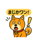 ふきだし日本犬スタンプ（個別スタンプ：25）