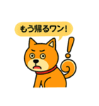 ふきだし日本犬スタンプ（個別スタンプ：26）