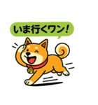 ふきだし日本犬スタンプ（個別スタンプ：32）