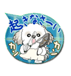シーズー犬 2025 「親」（個別スタンプ：1）