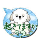 シーズー犬 2025 「親」（個別スタンプ：2）