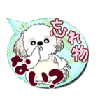 シーズー犬 2025 「親」（個別スタンプ：6）