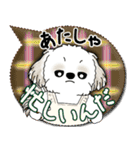 シーズー犬 2025 「親」（個別スタンプ：7）
