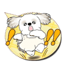 シーズー犬 2025 「親」（個別スタンプ：8）