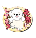 シーズー犬 2025 「親」（個別スタンプ：10）