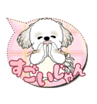 シーズー犬 2025 「親」（個別スタンプ：12）