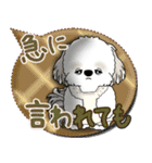 シーズー犬 2025 「親」（個別スタンプ：14）