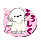 シーズー犬 2025 「親」（個別スタンプ：16）