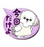 シーズー犬 2025 「親」（個別スタンプ：17）