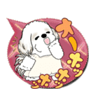 シーズー犬 2025 「親」（個別スタンプ：19）