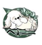 シーズー犬 2025 「親」（個別スタンプ：21）