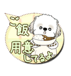 シーズー犬 2025 「親」（個別スタンプ：24）