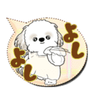 シーズー犬 2025 「親」（個別スタンプ：25）