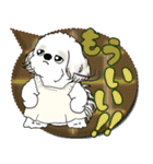 シーズー犬 2025 「親」（個別スタンプ：26）