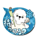 シーズー犬 2025 「親」（個別スタンプ：29）