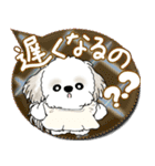 シーズー犬 2025 「親」（個別スタンプ：30）