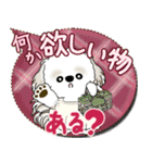 シーズー犬 2025 「親」（個別スタンプ：32）
