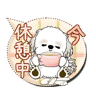 シーズー犬 2025 「親」（個別スタンプ：37）