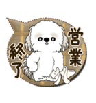 シーズー犬 2025 「親」（個別スタンプ：38）