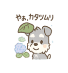 雨の日あまシュナ（個別スタンプ：1）
