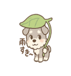 雨の日あまシュナ（個別スタンプ：2）