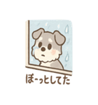 雨の日あまシュナ（個別スタンプ：4）