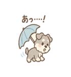 雨の日あまシュナ（個別スタンプ：8）