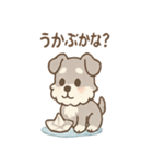 雨の日あまシュナ（個別スタンプ：9）