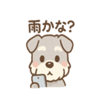 雨の日あまシュナ（個別スタンプ：11）
