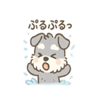 雨の日あまシュナ（個別スタンプ：12）