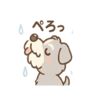 雨の日あまシュナ（個別スタンプ：14）