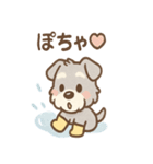 雨の日あまシュナ（個別スタンプ：19）