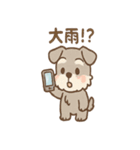 雨の日あまシュナ（個別スタンプ：21）