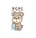 雨の日あまシュナ（個別スタンプ：24）