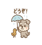 雨の日あまシュナ（個別スタンプ：26）