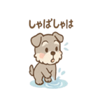 雨の日あまシュナ（個別スタンプ：28）